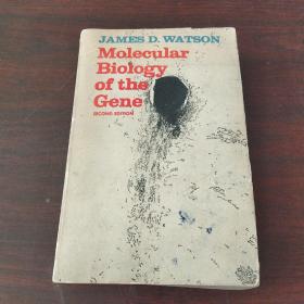 Molecular Biology of the Gene, Second Edition（英文原版）