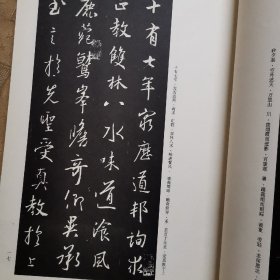 中国古代经典碑帖（二）王羲之圣教序.兴福寺断碑（释文本）