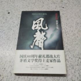 风声：麦家文集