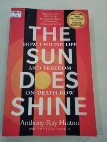 THE SUN DOES SHINE
