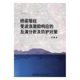 桥梁墩柱受波浪激励响应的反演分析及护对策 交通运输 王子健 新华正版