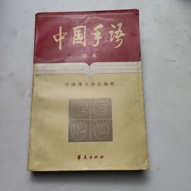 中国手语:续集