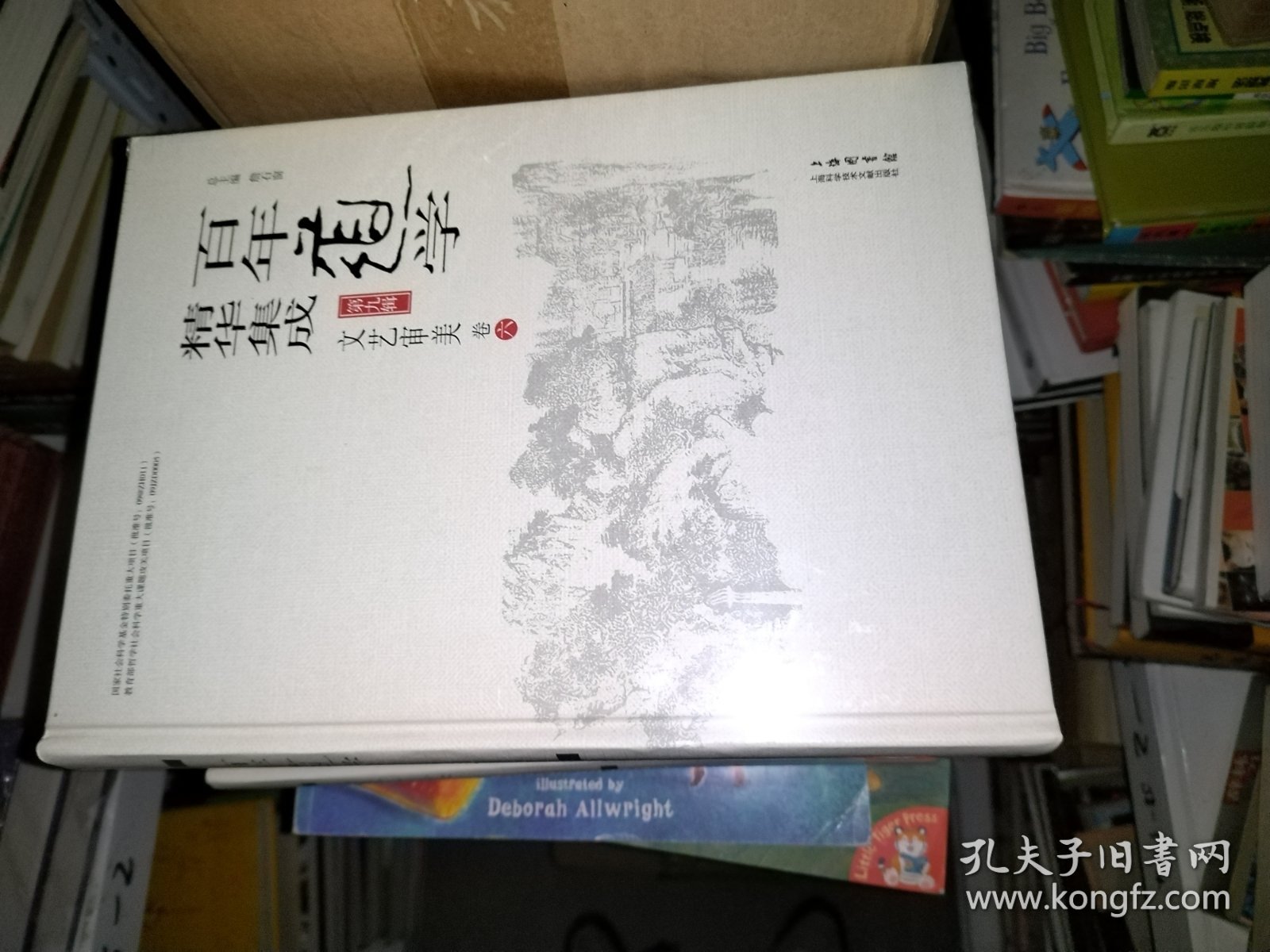 百年道学精华集成：第九辑 文艺审美（套装共6卷） 缺第一卷