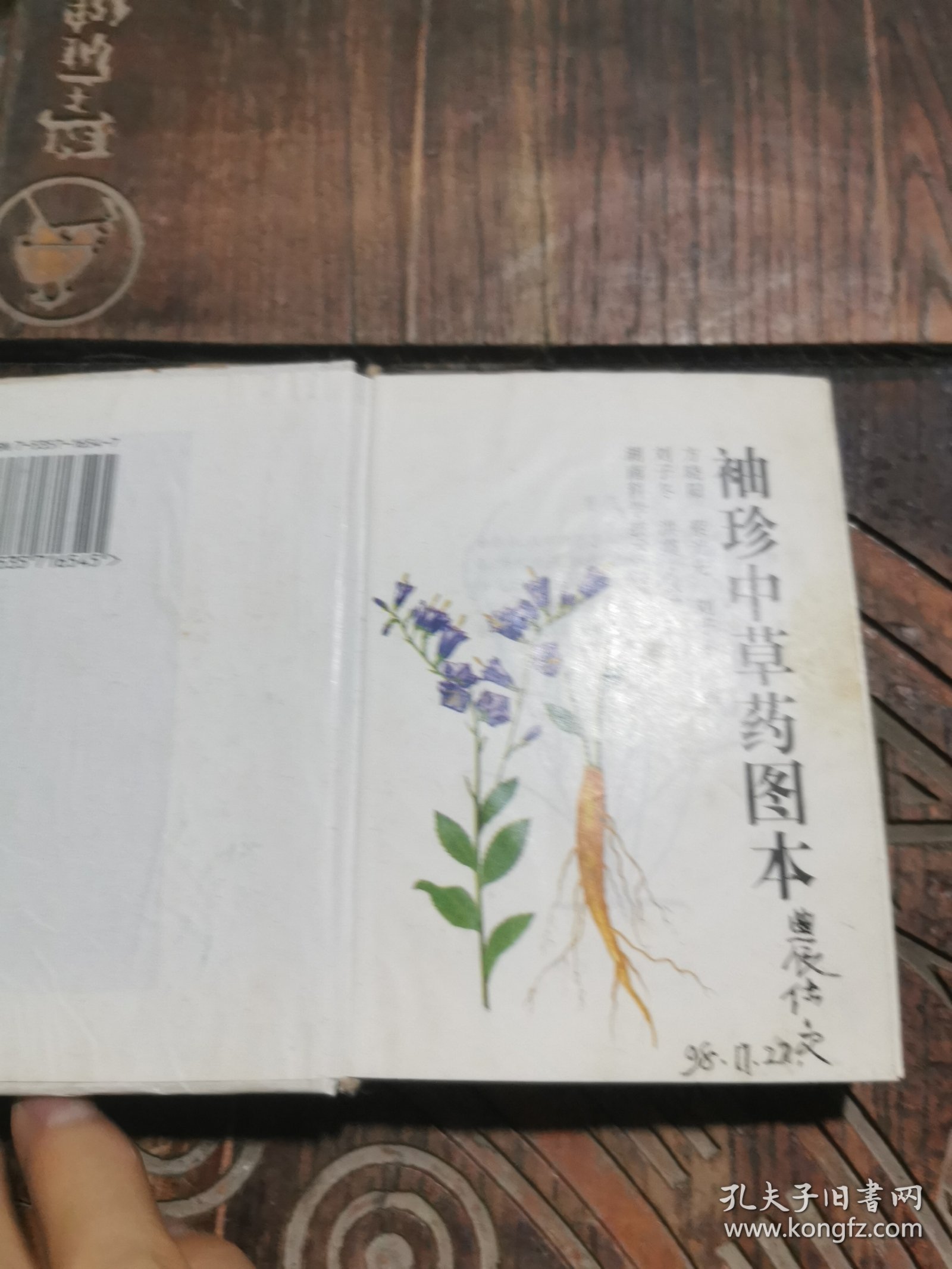 袖珍中草药图本