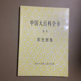 中国大百科全书 美术