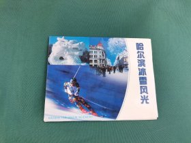 明信片 哈尔滨冰雪风光（12枚全）（正版现货，实物拍摄）