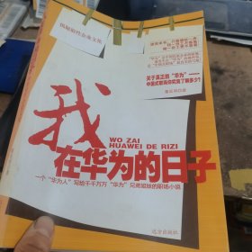 我在华为的日子