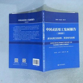 中国灵活用工发展报告（2022）多元化用工的效率、灵活性与合规