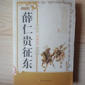 薛仁贵征东（珍藏版）