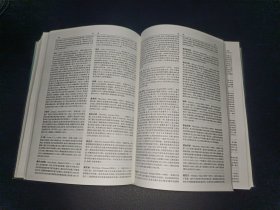 新编二十世纪外国文学大词典