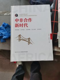 中非合作新时代