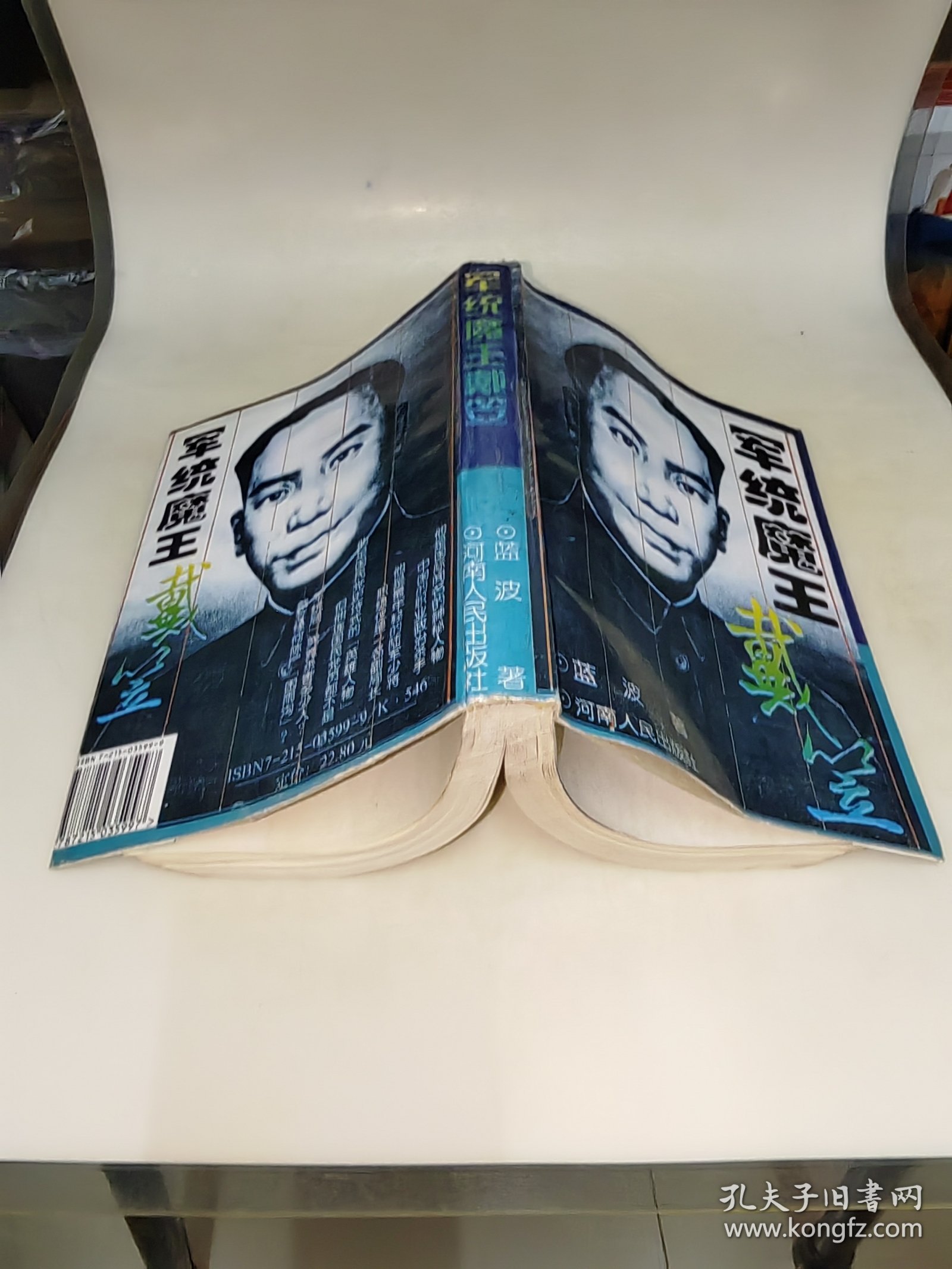 军统魔王戴笠 蓝波 著河南人民出版社 一版一印