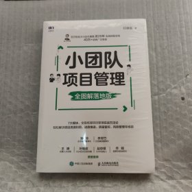 小团队项目管理 全图解落地版