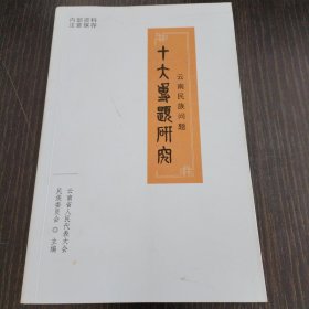 云南民族问题十大问题研究