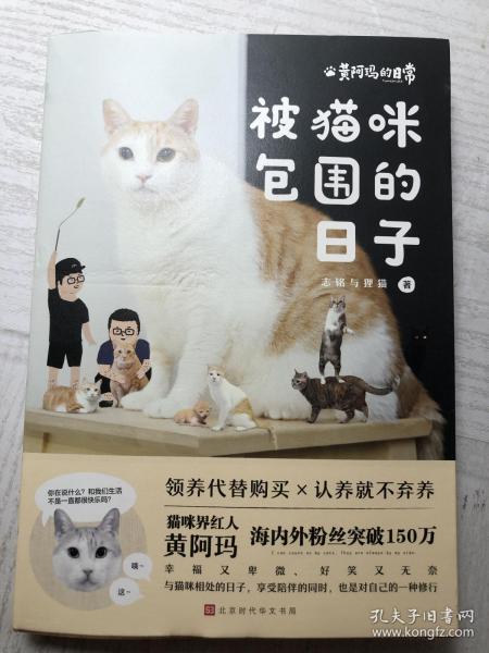 黄阿玛的日常:被猫咪包围的日子