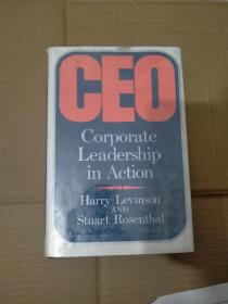 CEO
Corporate Leadership in Action