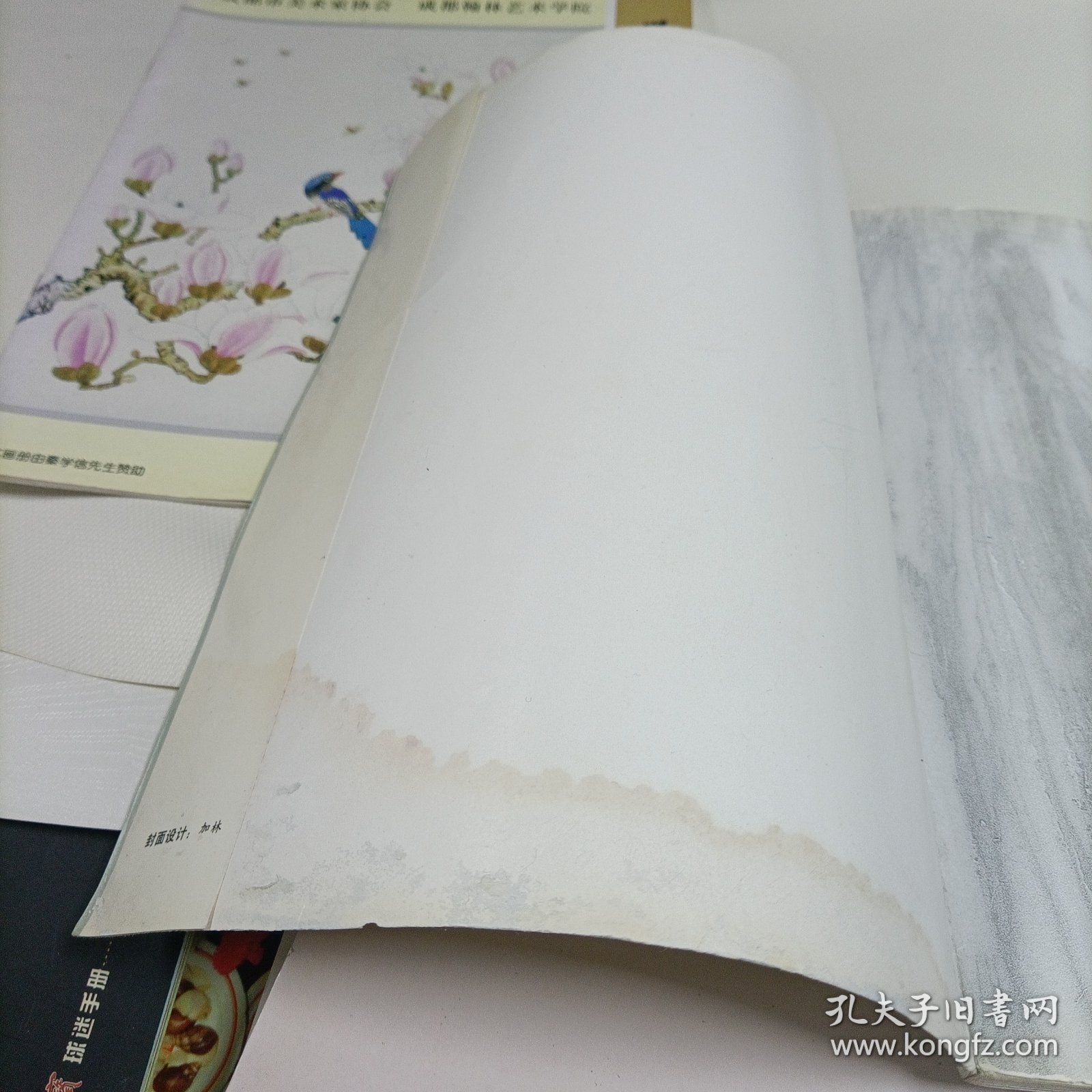 王天一花鸟画集【受潮水印】、学爱工笔花鸟画选【秦学爱】