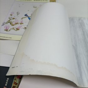 王天一花鸟画集【受潮水印】、学爱工笔花鸟画选【秦学爱】