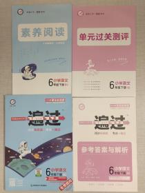 一遍过 小学 六下 六年级下册  语文 RJ（人教统编版）2023学年适用--天星教育（共4本）