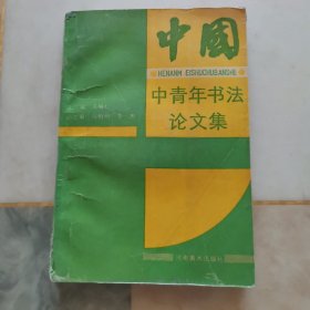 中国中青年书法论文集