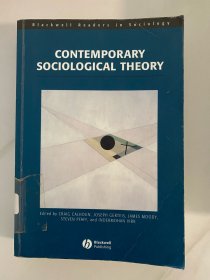 Contemporary Sociological Theory