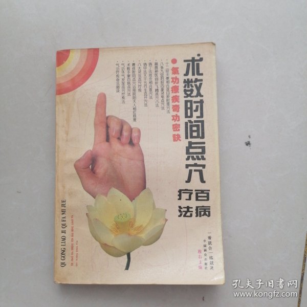 气功疗疾奇法秘决(术数时间点穴百病疗法)