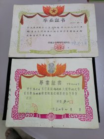 50-60年代，南通平湖小学中学毕业证书两张（同一人的）