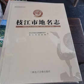 枝江市地名志<精>未拆封