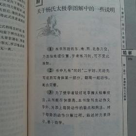 李雅轩杨氏太极拳法精解