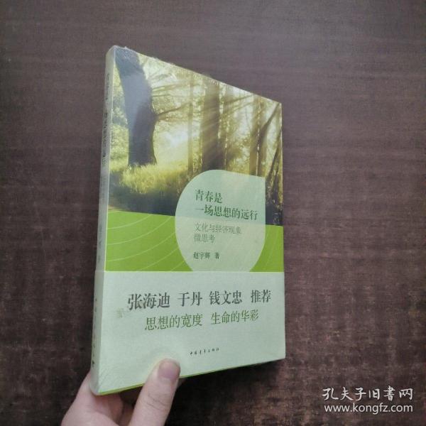 青春是一场思想的远行 : 文化与经济现象微思考