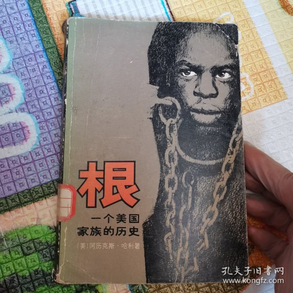 根一个美国家族的历史