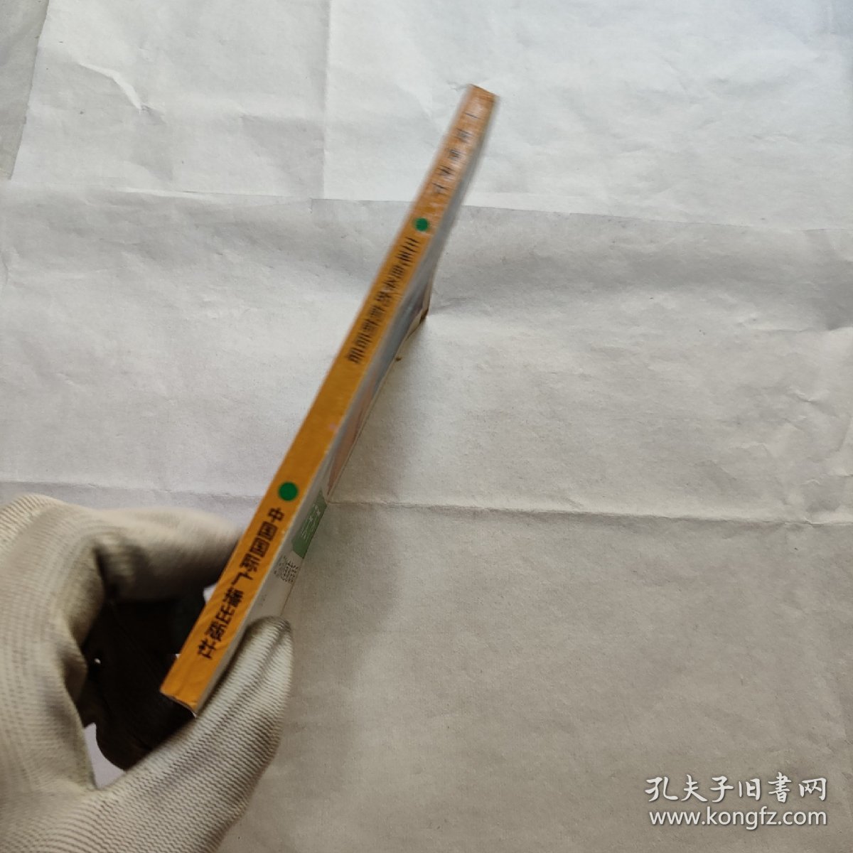 一死惊天下 三毛自杀的前前后后（首页字迹）