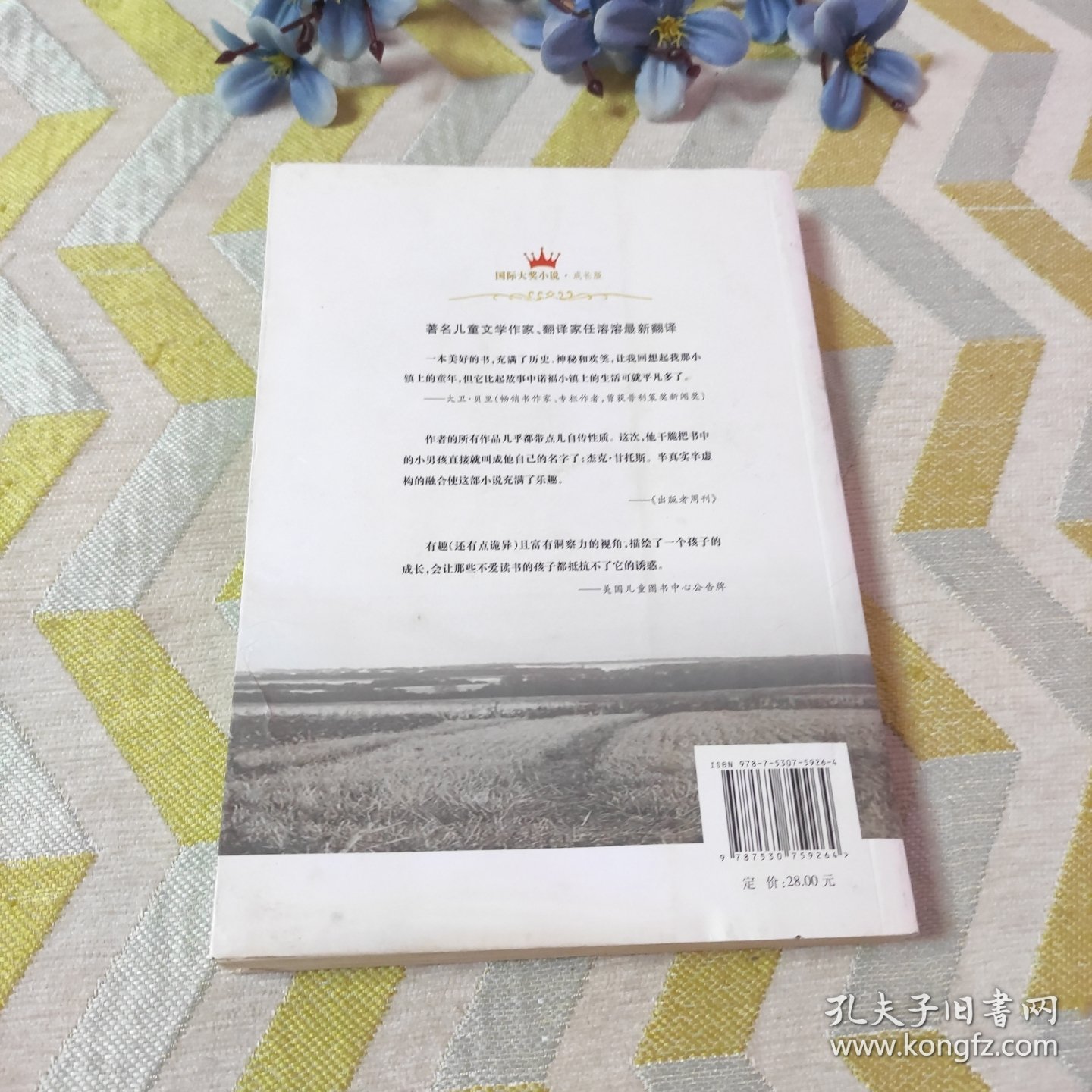 诺福镇的奇幻夏天