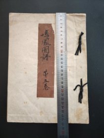 彩色手绘花道古籍《鸣凤图谱》手绘彩色画册，厚本，花道，插花艺术，115个筒子页，28cmX20cmX3cm