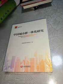 中国城市群一体化研究