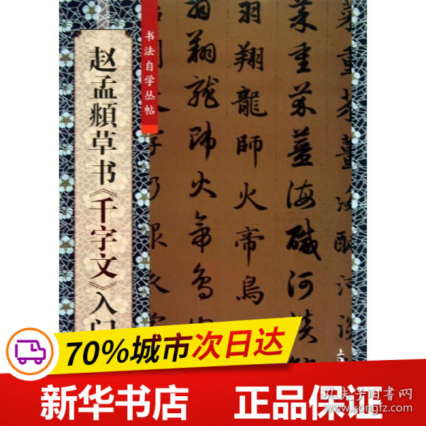 保正版！赵孟頫草书"千字文"入门9787567109186上海大学出版社柯国富,华俊铭 编