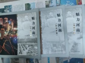魅力河南（三册全）