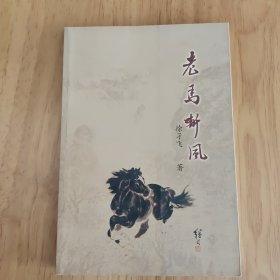 老马嘶风