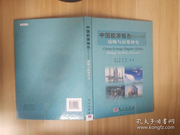 中国能源报告（2006）战略与政策研究
