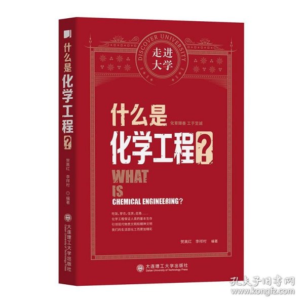 什么是化学工程走进大学丛书