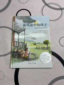 暴风雨中的孩子：美国凯迪克银奖作品