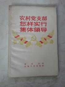 农村党支部怎样实行集体领导