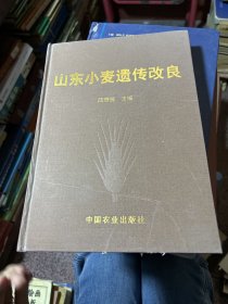 山东小麦遗传改良