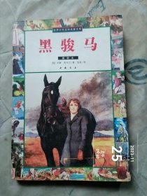 黑骏马 二手正版实物拍照