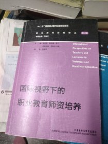 国际视野下的职业教育师资培养