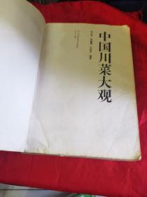 中国川菜大观（由已故四川烹饪大师史正良编写，出版有：《创新川菜集锦》、《中华名厨史正良烹饪艺术》、《中国烹饪大师作品精粹—史正良专辑》、《大师解密招牌菜》、《挡不住的麻辣诱惑》、《招牌小炒变变》、《婆婆妈妈当家菜》、《家常腌卤拌》、《海鲜风味菜》；《创新川菜》一、二集、《中式烹调》（川菜）、《四川豆腐菜》、《海鲜川菜》、《鸭肴百味》、《鸡肴百味》、《川菜烹饪事典》等20部烹饪专著。