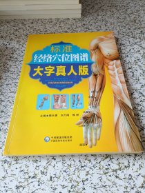 标准经络穴位图谱（大字真人版）