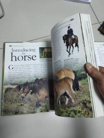 the kingfisher illustrated house & pony encyclopedia【大16开硬精装英文原版彩印】