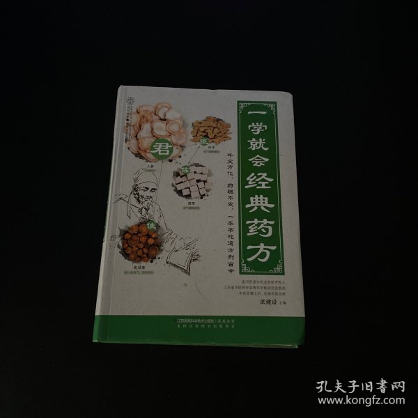 健康爱家系列 一学就会经典药方