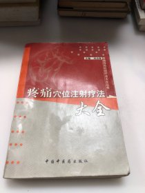 疼痛穴位注射疗法大全——疼痛特色特效疗法大全丛书